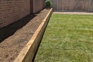 255ca919-755e-4f5f-956b-079cf0133ffa