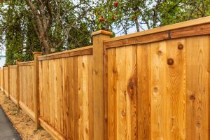 Big new wooden fence around the house and trees. Wooden fence with green trees . Fencing and gates. High quality fence. Street photo