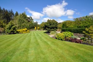 a beautiful English country garden, a beautiful lawn edged by colourful boarders.