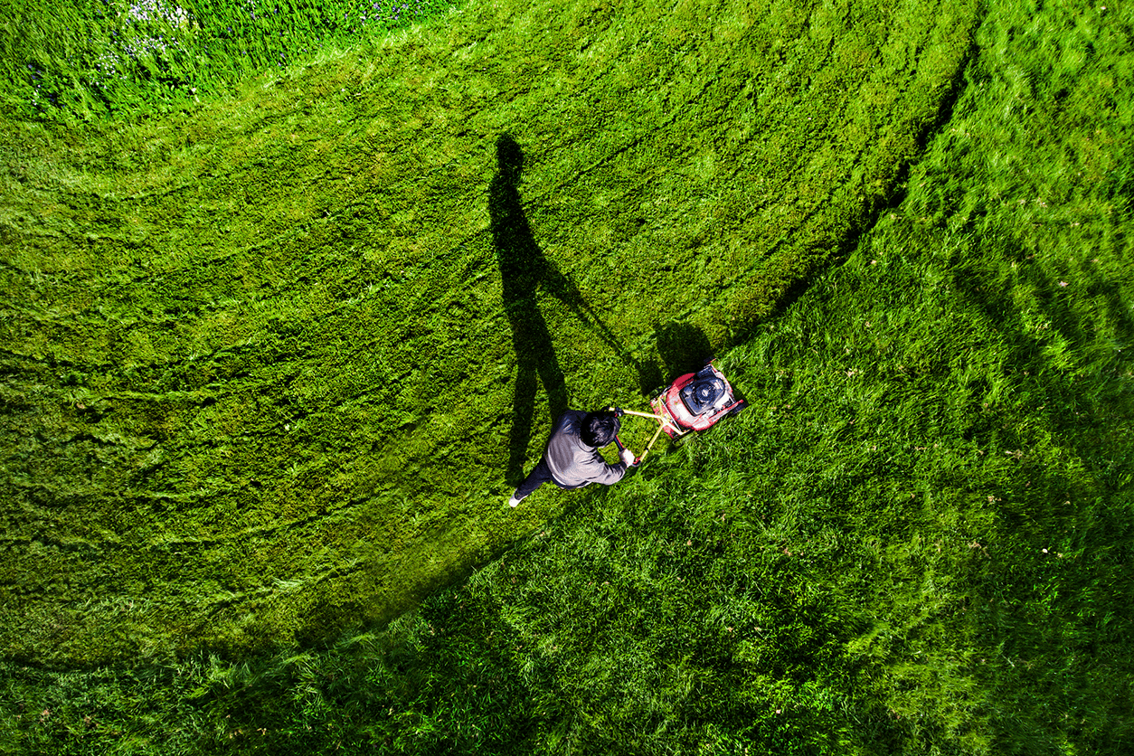 landscaping Hampshire