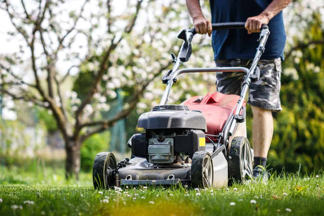 landscaping